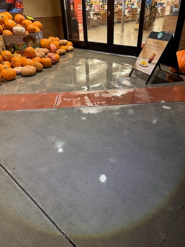 Gallery photos for Storefront Shine for Halloween: Image #1
