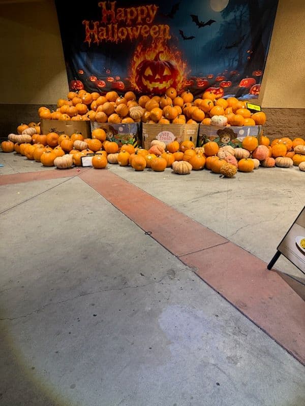 Gallery photos for Storefront Shine for Halloween: Image #2